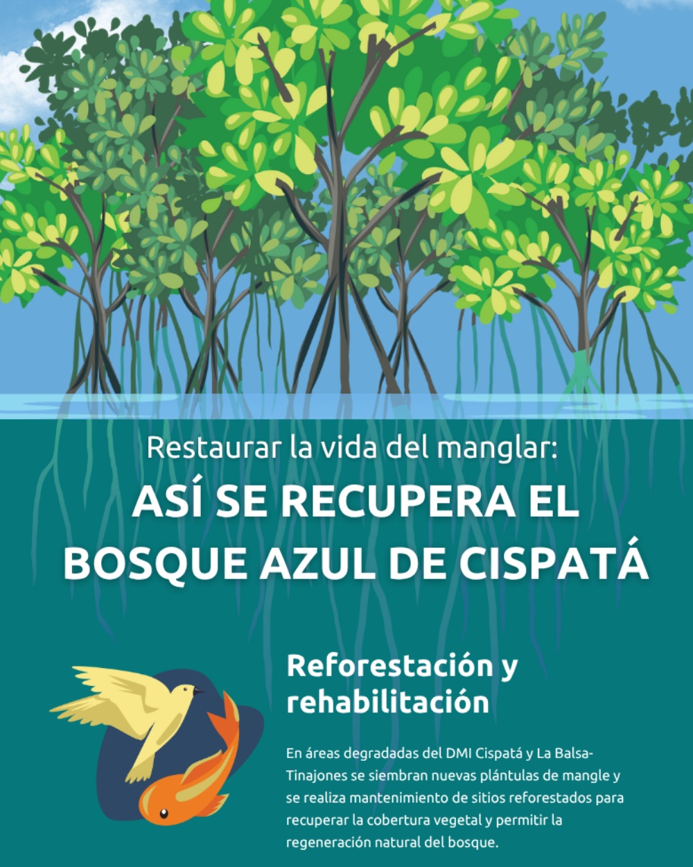 Slide 1 infografía 5